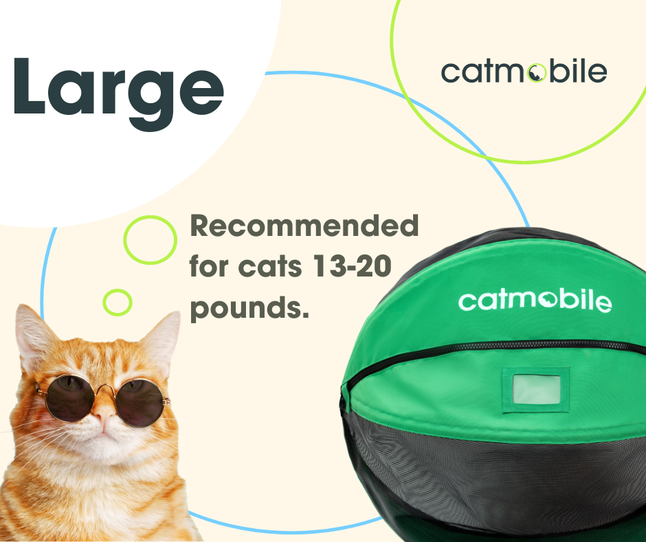 Catmobile Pre-Order | Large