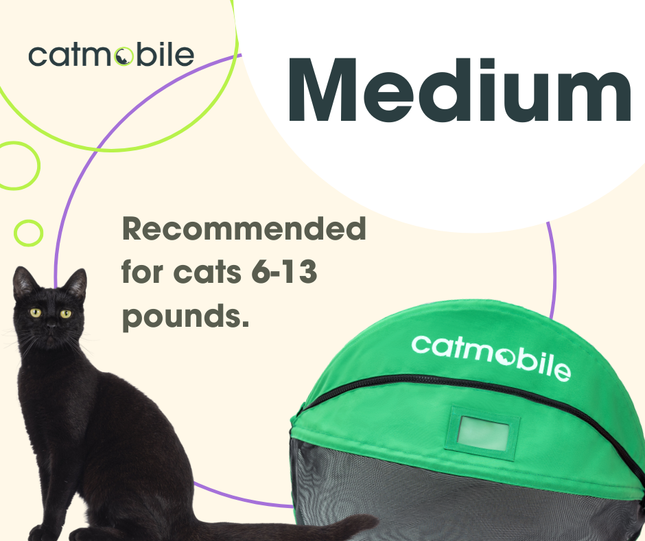 Catmobile Pre-Order | Medium